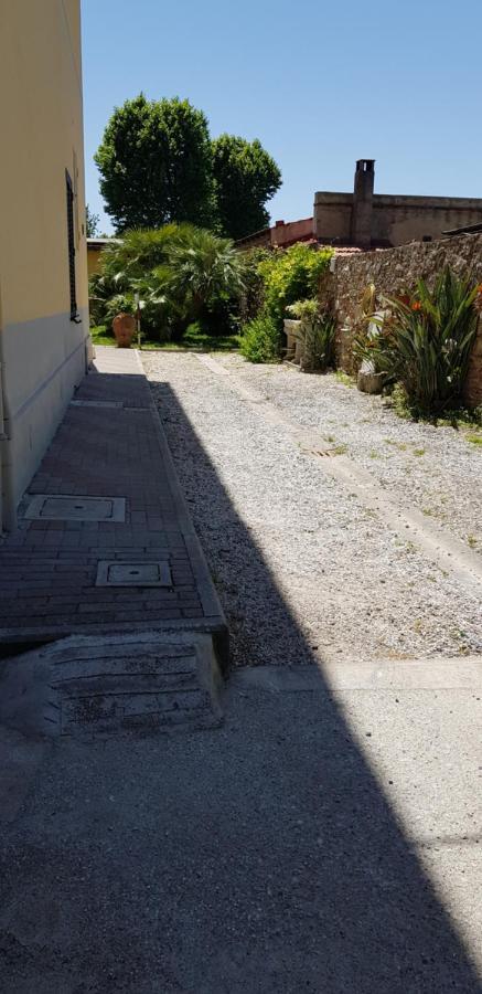بيزا Villa Il Lauro المظهر الخارجي الصورة